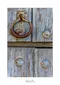 carousel chooser